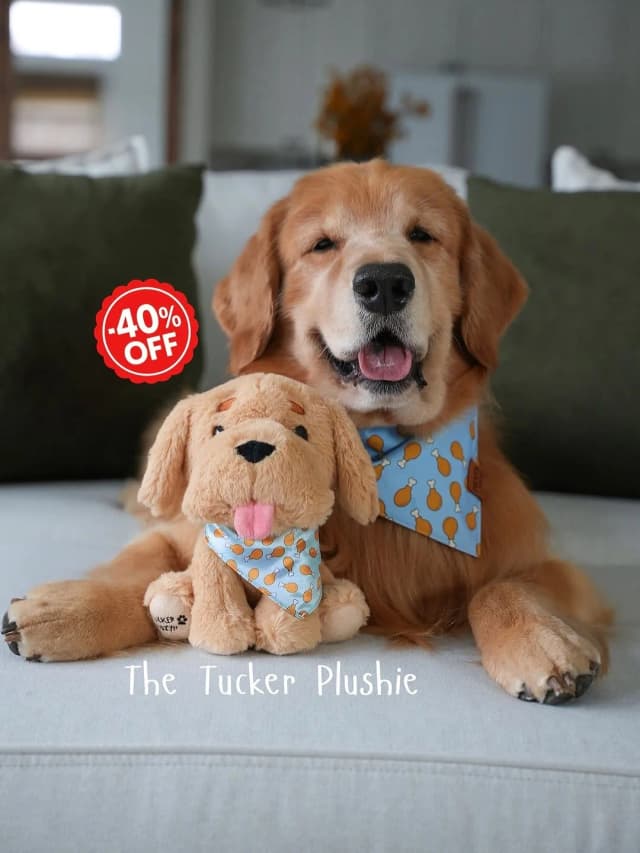 Hey frens! We’ve been working on our
next insane video 👀 (the boys go full crazy in it), but we wanted to pop in and let you know our entire website is 40% off now through Monday! We also added a few brand new items that aren’t discounted but...they’re SO nice and we wanted to share. Also don’t forget to grab our new 2026 calendar because it’s almost sold out! As always a portion of each sale goes to some of our favorite rescues including @goldenbondrescue. Thank you for being here and for always supporting our little family. New skit coming soon! I promise it’s worth the wait 🩵